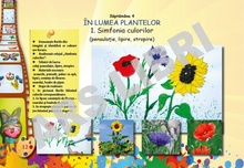 Arte vizuale și abilități practice, Clasa Pregătitoare ﻿