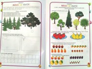 Matematica și explorarea mediului, Clasa pregătitoare - Caiet de lucru