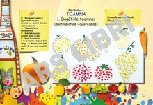 Arte vizuale și abilități practice, Clasa Pregătitoare ﻿