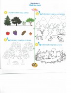 Micul Explorator, Matematică și explorarea mediului, Clasa Pregătitoare - Fișă de lucru