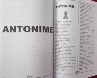 Dicționar - Sinonime, Antonime, Omonime, Paronime