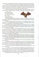 În caruselul vacanței fișe interdisciplinare clasa a IV-a
