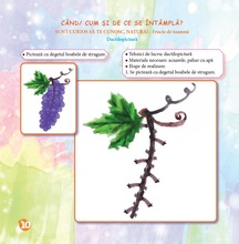 Piticot în atelierul de creație 4-5 ani