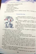 Cetatea de cuvinte - Compuneri pentru clasa a III-a