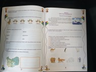 Fişe interdisciplinare, Clasa a II-a - Activități integrate