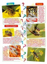 În lumea misterelor (despre plante și animale)