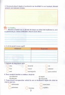 În caruselul vacanței fișe interdisciplinare clasa a IV-a