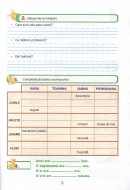 În caruselul vacanței fișe interdisciplinare clasa I