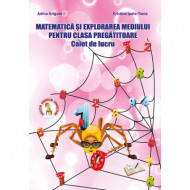 SET BACK TO SCHOOL-CLASA PREGATITOARE (CLR+MEM+DP+AVAP)