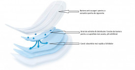 Tampoane incontinenta Molicare Form