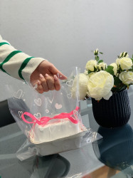 Pungi plastic