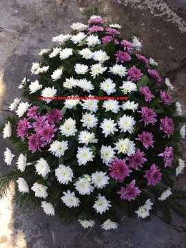 Coroane Funerare Crizantema Floare