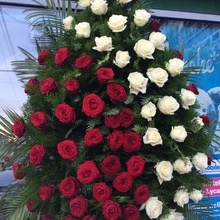 Coroane Funerare Online Trandafiri Rosi Cu Diagonala Albi