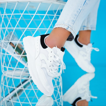 Pantofi Sport cod: P6281