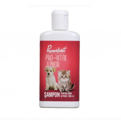 Sampon Pro-Vital Junior cu germeni de grau pentru caini si pisici 200 ml