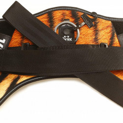 Ham IDC Power pentru caini Julius K9, Tiger Velvet