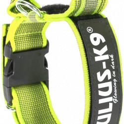 Zgarda din nylon, pentru caini Julius K9 cu maner si siguranta, Neon