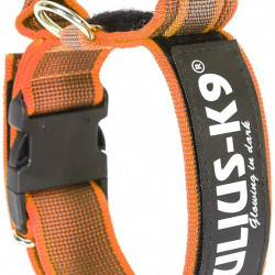 Zgarda din nylon, pentru caini Julius K9 cu maner si siguranta, Portocaliu