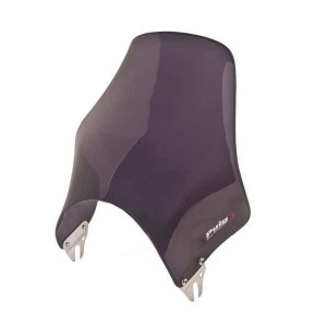 Windshield PUIG NAKED 0869F dark smoke universal