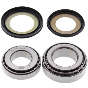 Kit rulmenti de jug All Balls Racing SB22-1019