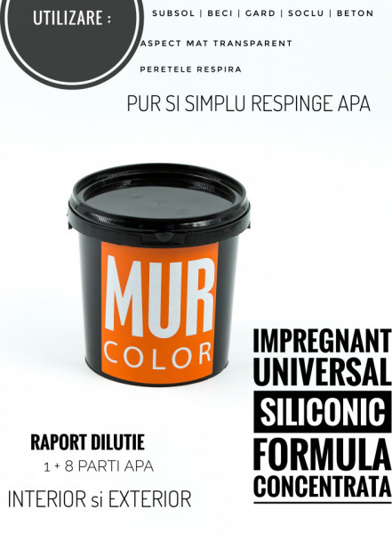 Amorsa Concentrata Impregnant Siliconic MUR Fix 1 Litru