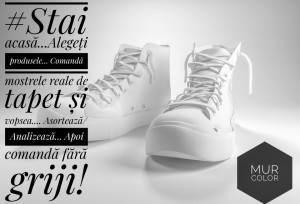 Vopsea Superlavabila Aspect Mat/ MUR Arhitect Negru VECHI Nr. 17