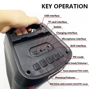 Boxa portabila cu microfon, bluetooth, mp3, radio FM, Card TF, AUX, Afisaj LED, microfon, telecomanda, LED RGB - ZQS-4245