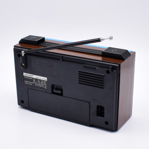 Radio Portabil ,FM,MW,SW1-9 11 benzi ,LEOTEC LT-2009