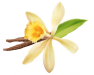 OrchidsMania