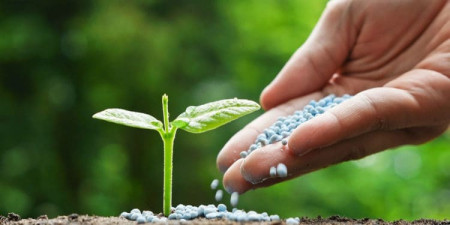 Fertilizant PP diverse NPK