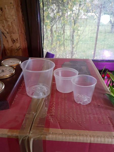 Ghiveci transparent pentru orhidee, diametru 7cm