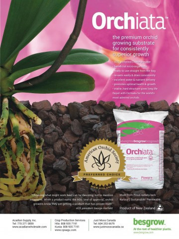 ORCHIATA Classic 40L