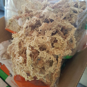 Muschi Spagmoss Supreme 50g