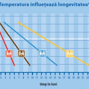 Fertilizant cu eliberare prelungita 8-9 luni OSMOCOTE Exact