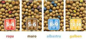 Fertilizant cu eliberare prelungita 8-9 luni OSMOCOTE Exact