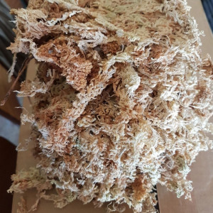 Muschi Spagmoss Classic 150g