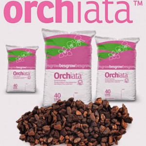 ORCHIATA Super 5L