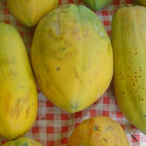 fruct papaya