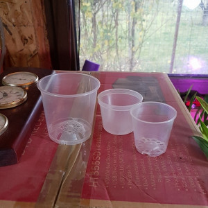 Ghiveci transparent pentru orhidee, diametru 7cm