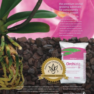 ORCHIATA Classic 40L