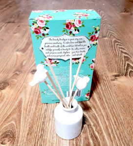 Set aromaterapie, recipient ceramica, stickuri lemn, ulei esential 20ml