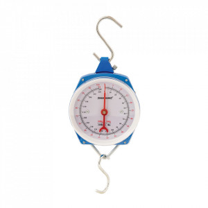 Cantar agatat, 100Kg, metalic, Silverline