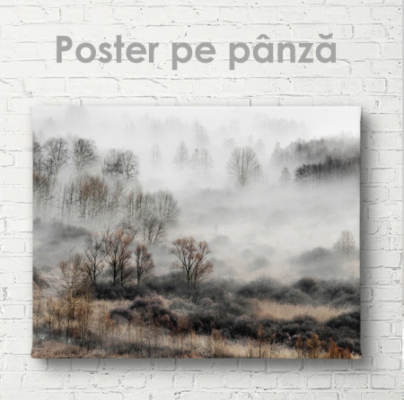 Poster, Ceaţă