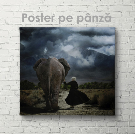 Poster, Fată și elefant