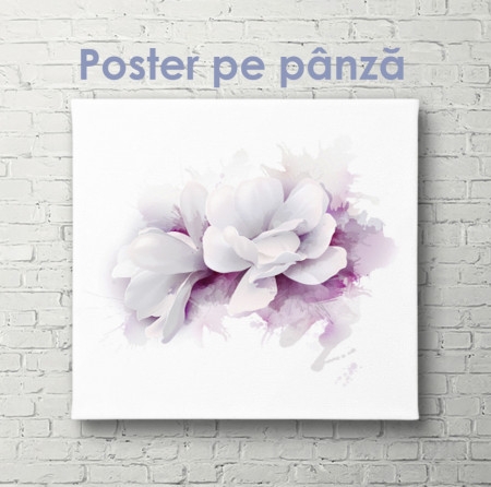 Poster, Floare albă cu contur violet