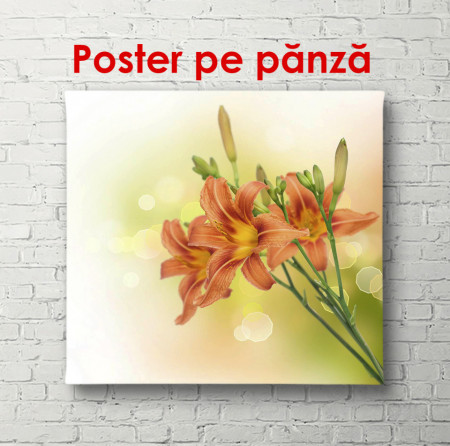 Poster, Flori portocalii pe un fundal delicat