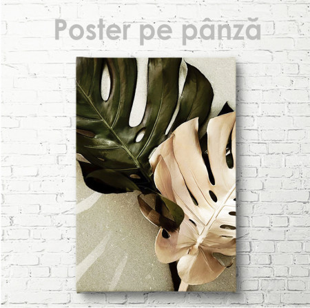 Poster, Frunze botanice