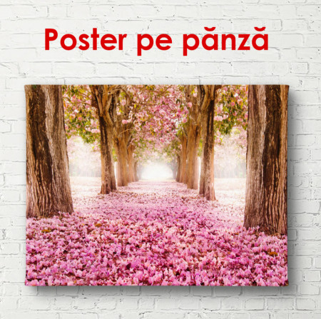 Poster, Parcul roz