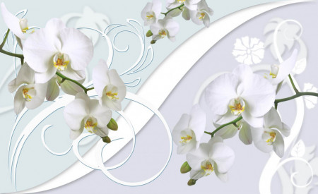 Fototapet 3D, Orhidee albe pe un fundal 3D