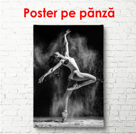 Poster, Balerină în dans